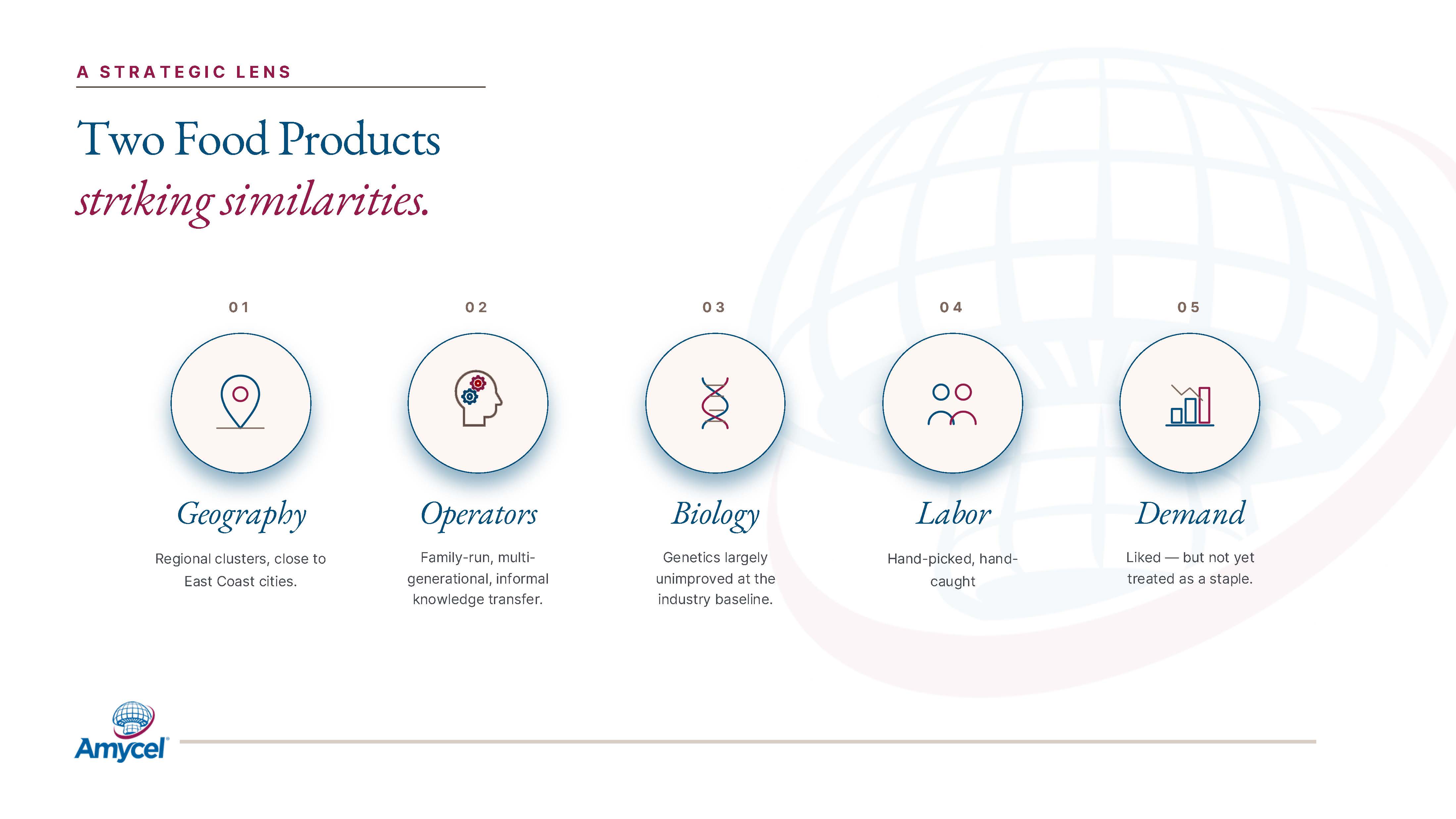 AMYCEL_The Next Phase_NAMC PPT_PRESENT_Page_03