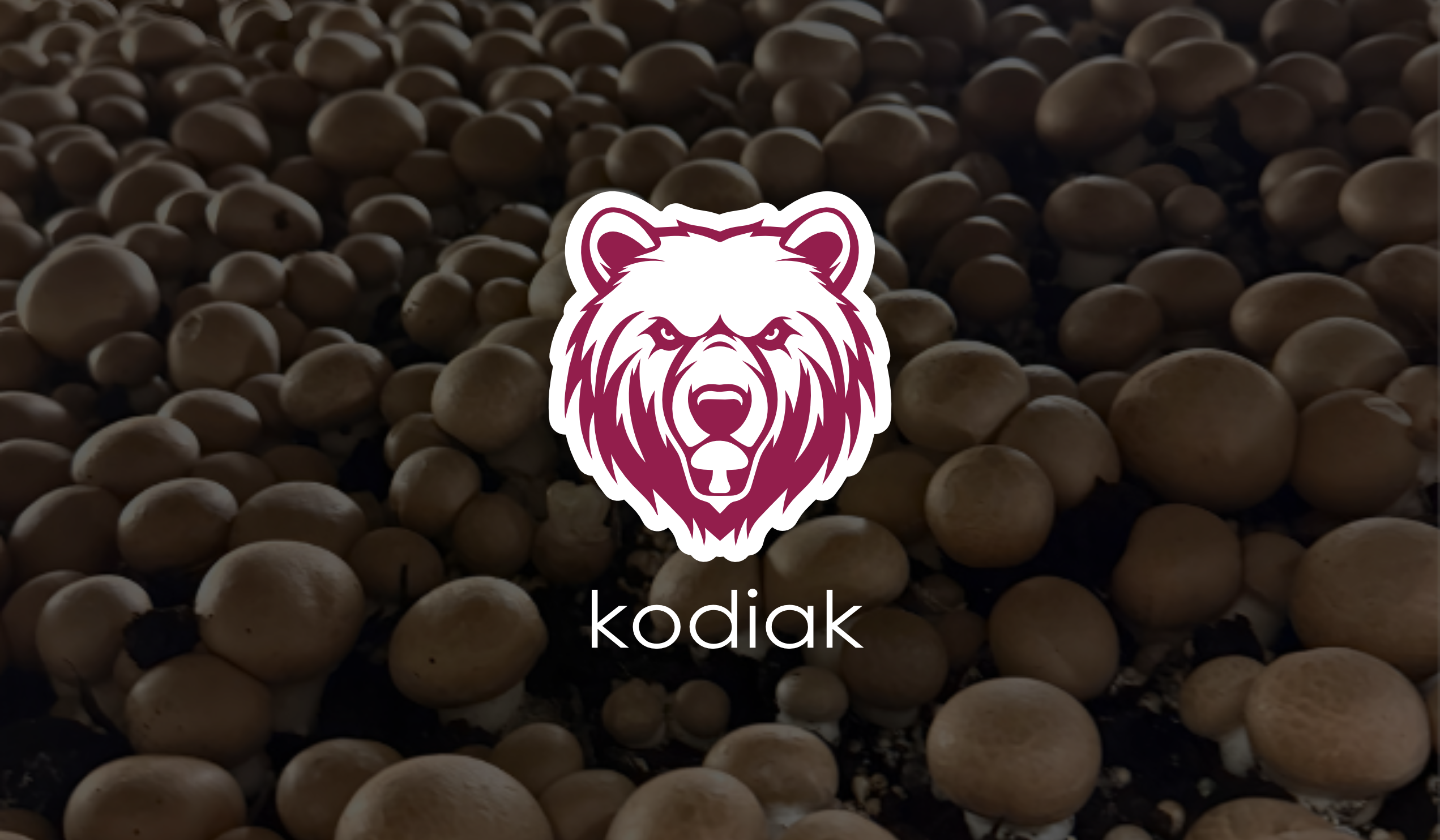 kodiak-hero