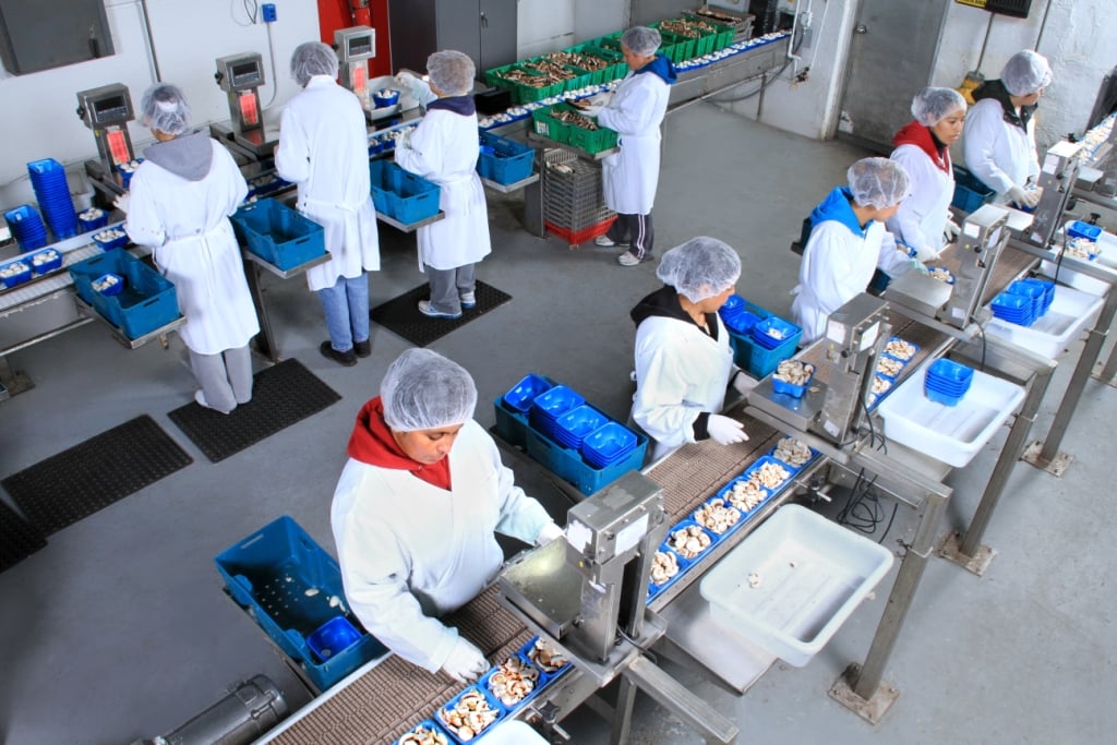 Loudon Promotional Pictures 9-10 005