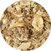 promycel-gold mushroom