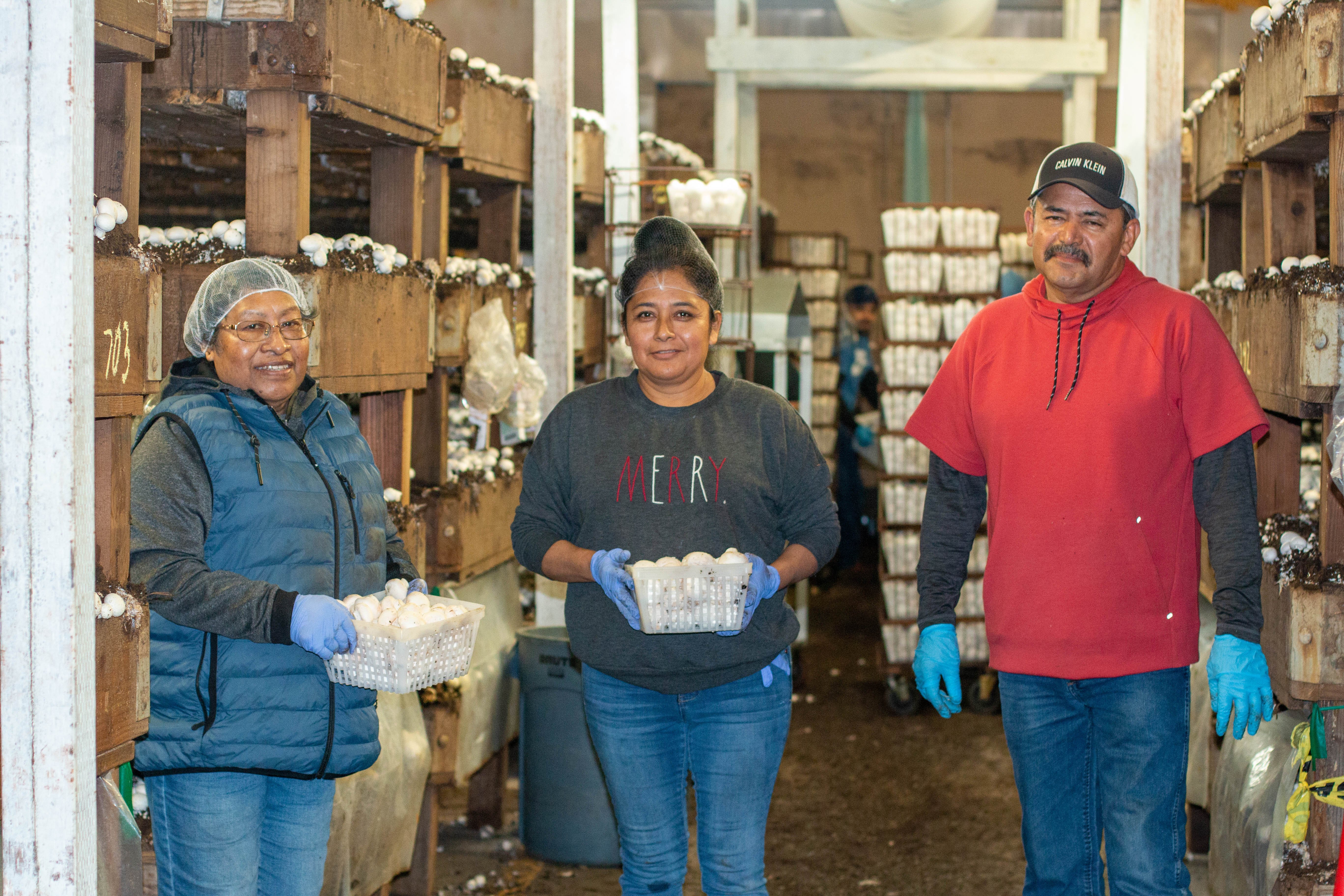 Monterey-Mushrooms-Teammates-14