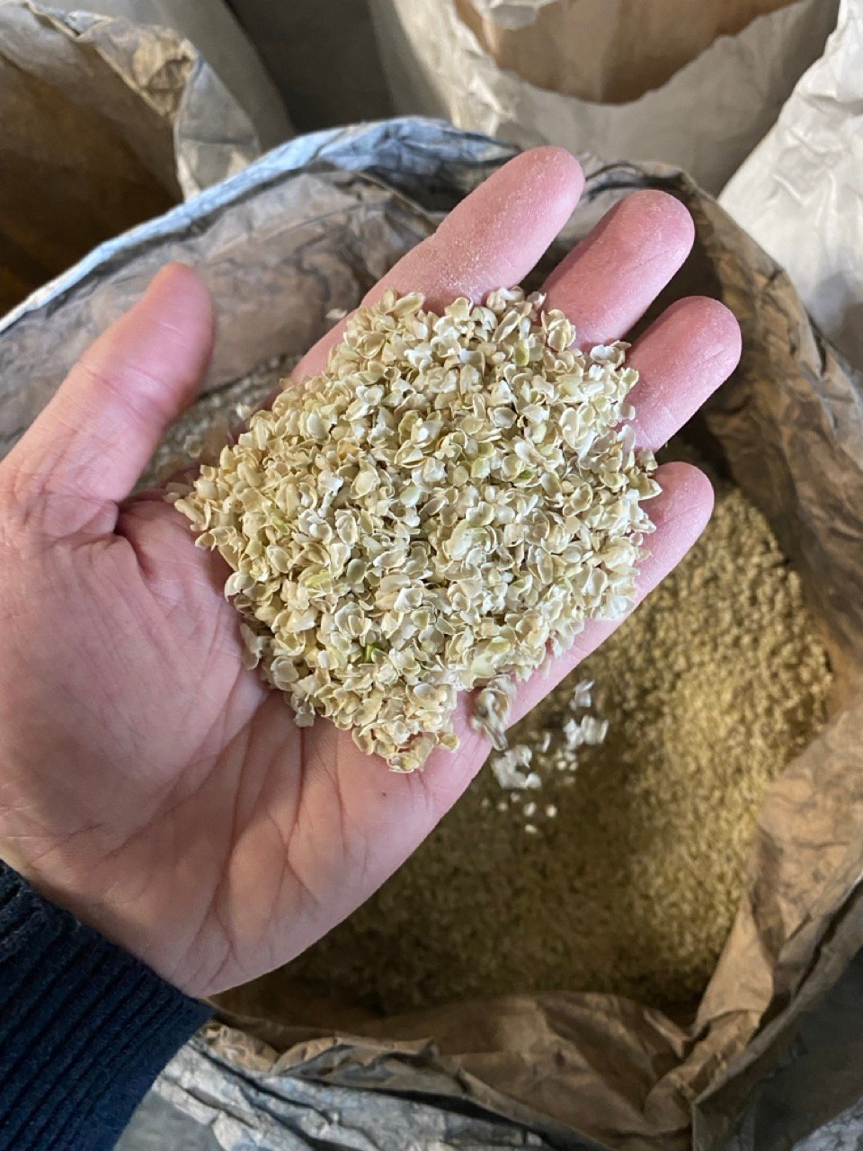 spawn-hand-bag