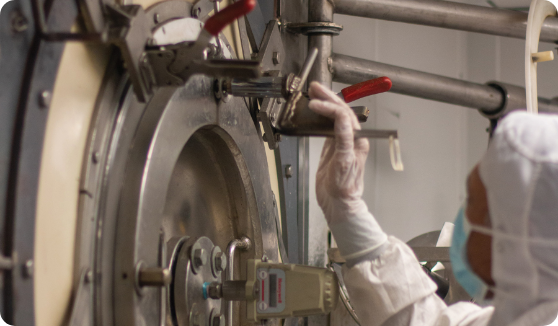 Scientist in Amycel's research and development facility conducting testing