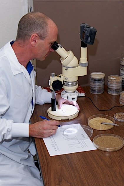 scientist in lab amycel research