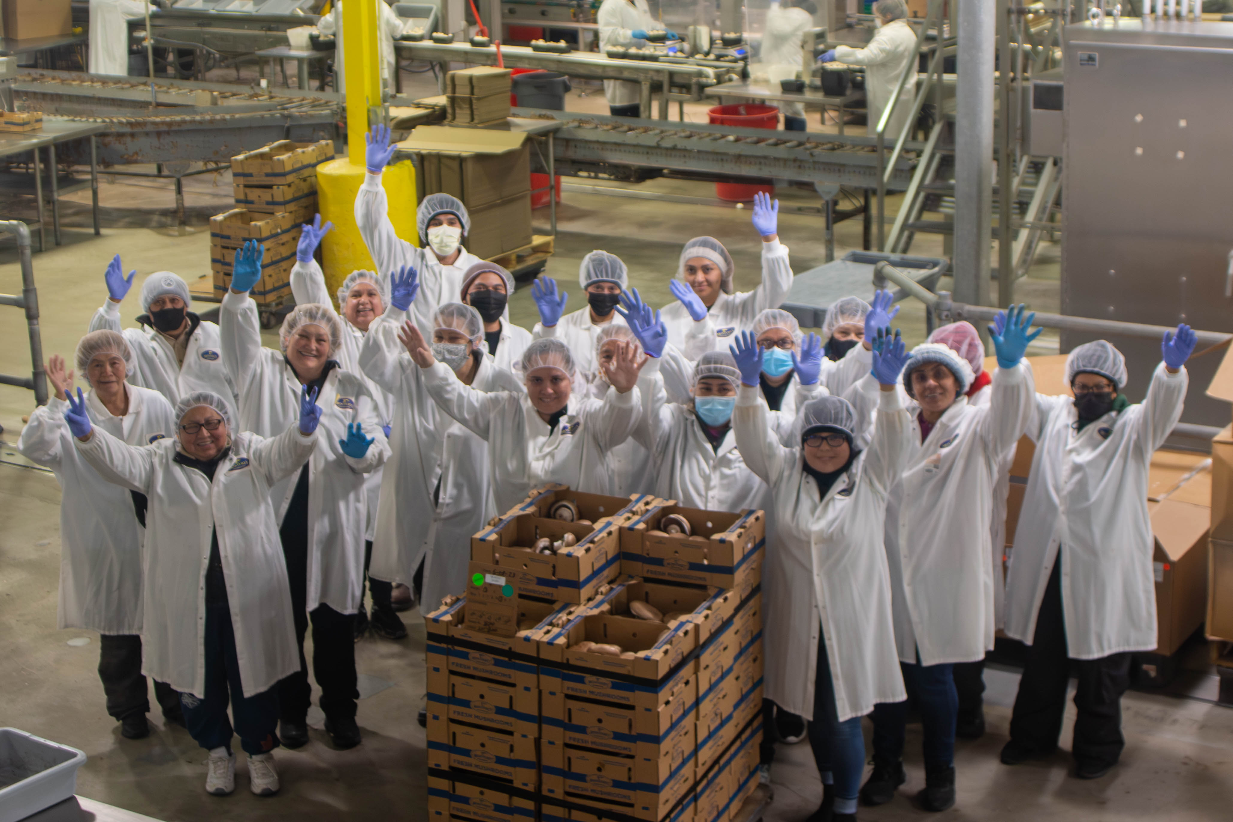 Monterey-Mushrooms-Teammates-35